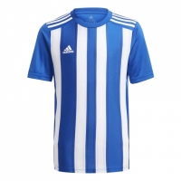 Koszulka dla dzieci adidas Striped 21 Jersey Youth bia?o-niebieska GH7323