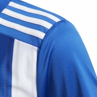 Koszulka dla dzieci adidas Striped 21 Jersey Youth bia?o-niebieska GH7323