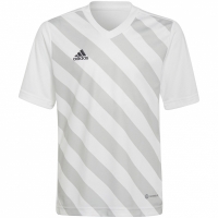 Koszulka dla dzieci adidas Entrada 22 Graphic Jersey biało-szara HF0120