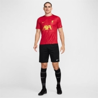 Nike Liverpool Academy Pro Pre Match Shirt 2024 2025 Adults