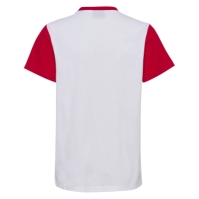 Hummel Denmark Fan Block T-Shirt Junior