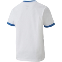 Children's T-shirt Puma teamGOAL 23 Jersey white and blue 704160 12