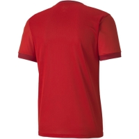 Men's T- shirt Puma teamGOAL 23 Jersey red 704171 01