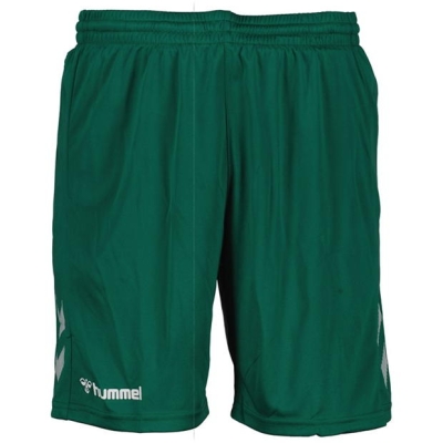 Hummel Poly Shorts 99