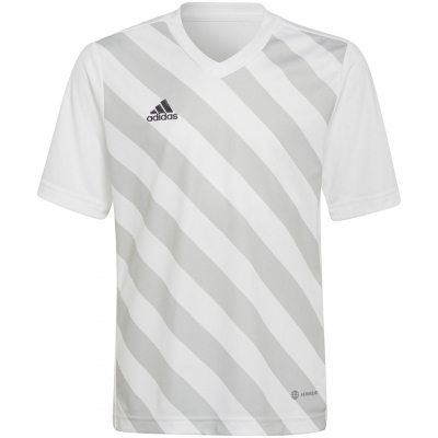 Koszulka dla dzieci adidas Entrada 22 Graphic Jersey biało-szara HF0120