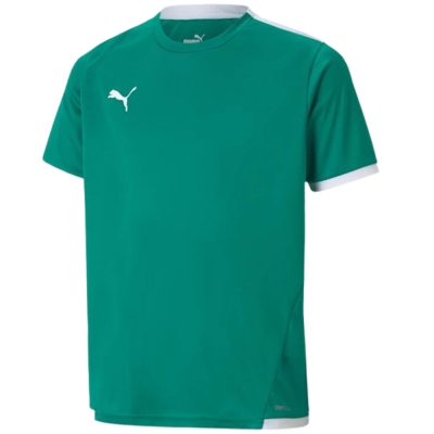 T-shirt for children Puma teamLIGA Jersey green 704925 05