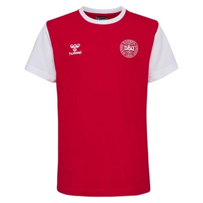 Hummel Denmark Fan Block T-Shirt Junior