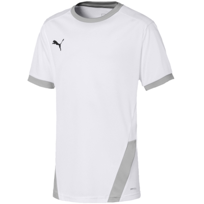 Children's T-shirt Puma teamGOAL 23 Jersey white 704160 04