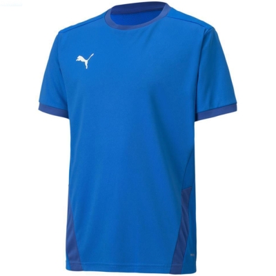 Children's T-shirt Puma teamGOAL 23 Jersey blue 704160 02