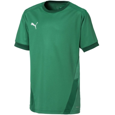 Children's T-shirt Puma teamGOAL 23 Jersey green 704160 05