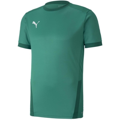 Men's T-shirt Puma teamGOAL 23 Jersey green 704171 05