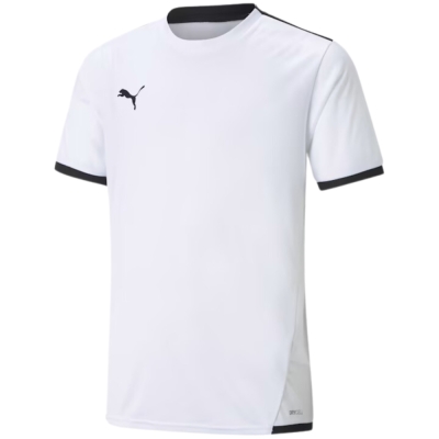 Children's T-shirt Puma teamLIGA Jersey Junior white 704925 04