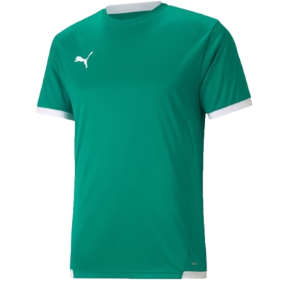 Puma teamLIGA Jersey men's T-shirt green 704917 05