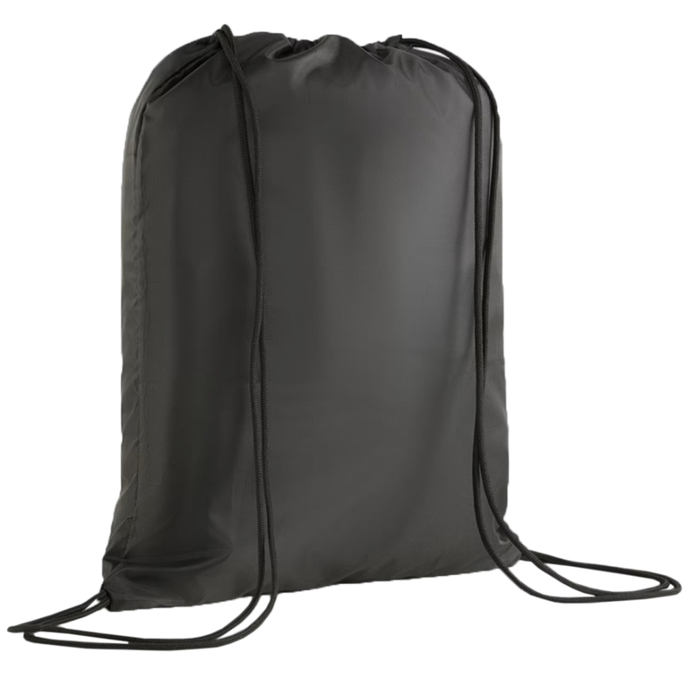 Bag for Puma Team Goal shoes black 090240 01