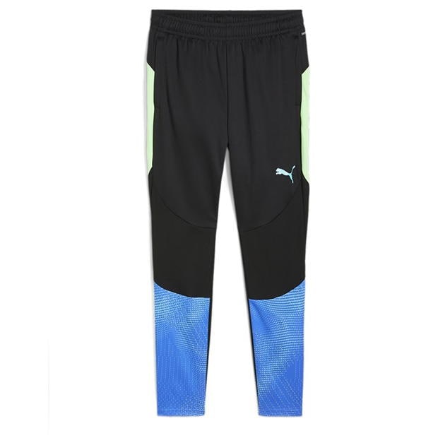 Puma Final Pant Sn51