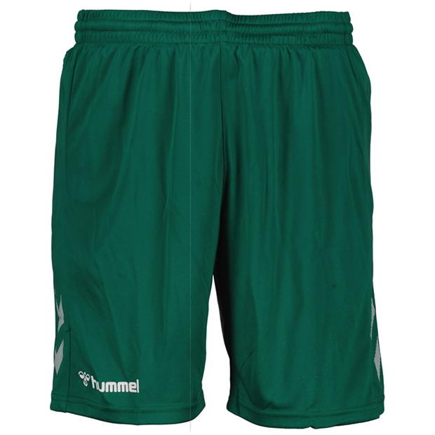 Hummel Poly Shorts In99