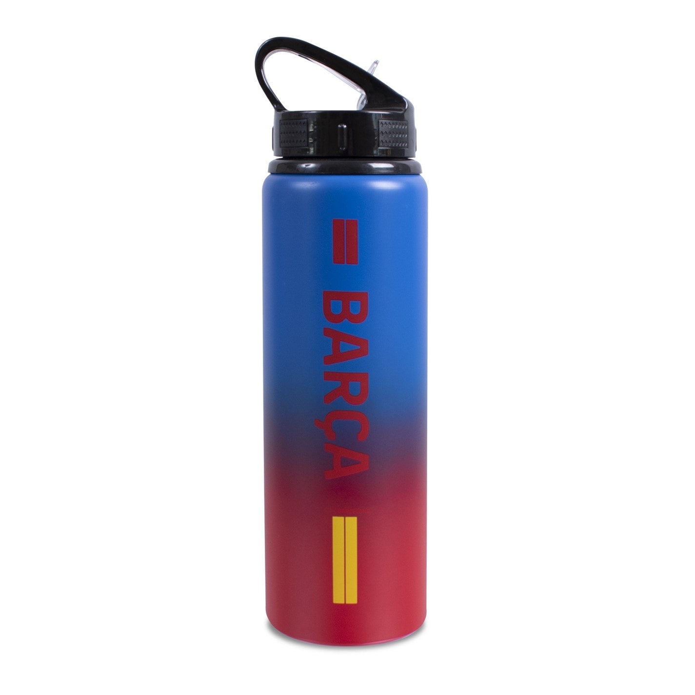 Team Alu Water Bottle