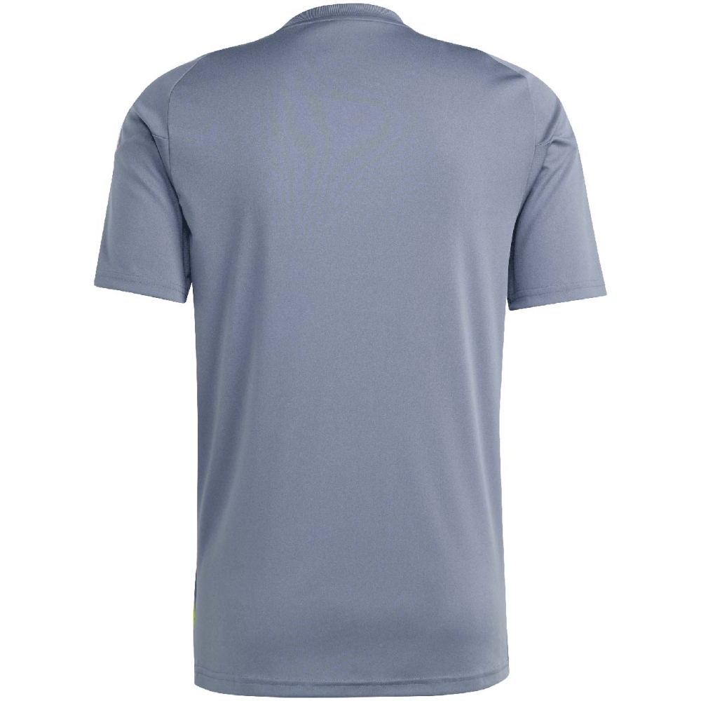 Men's T-shirt adidas Tiro 24 Jersey gray IV6951