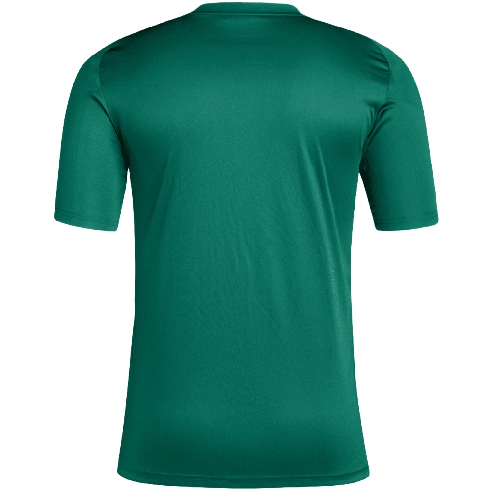 Adidas Tiro 24 Jersey men's T-shirt green IS1017