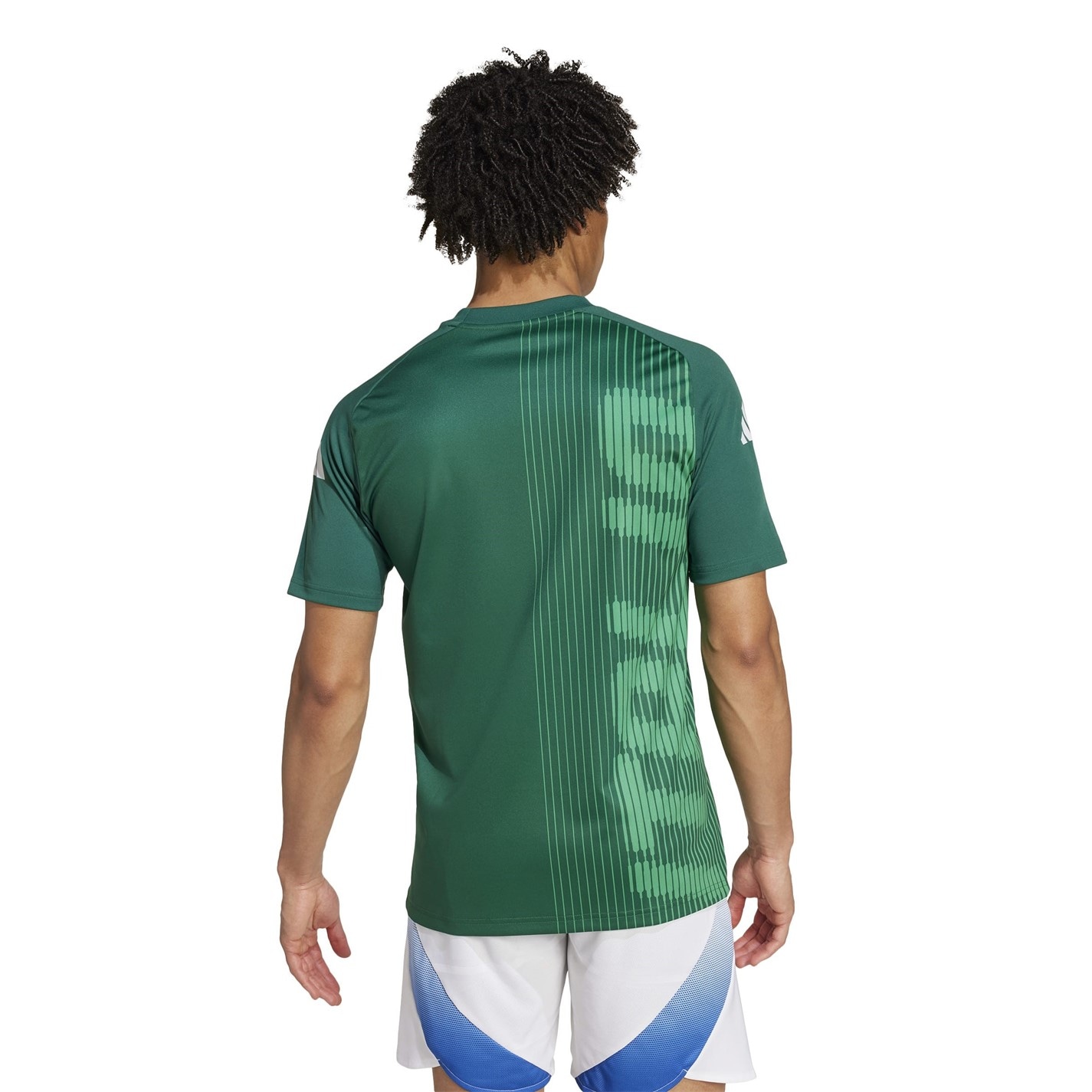 adidas Italy Pre-Match Shirt 2024 Adults