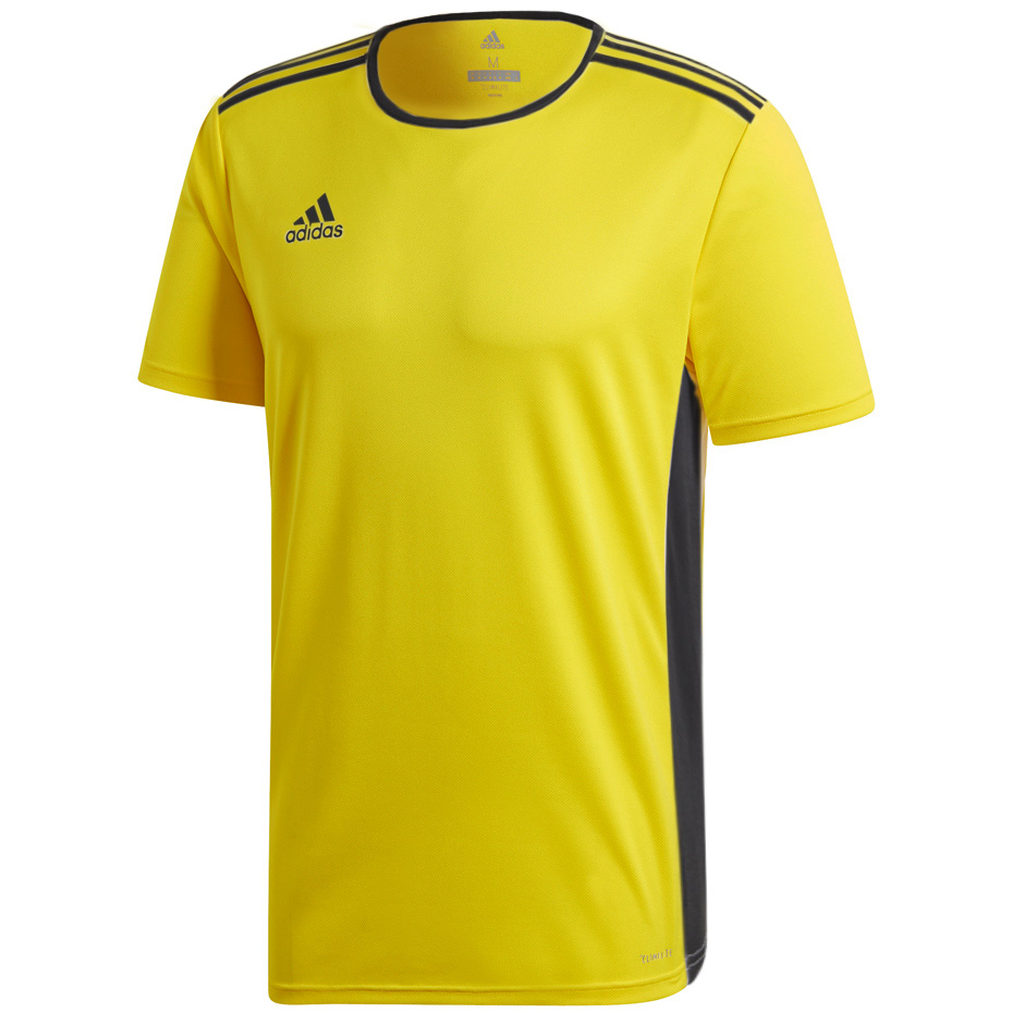 T-shirt for children adidas Entrada 18 JR? ż˝? to-blue GT6834