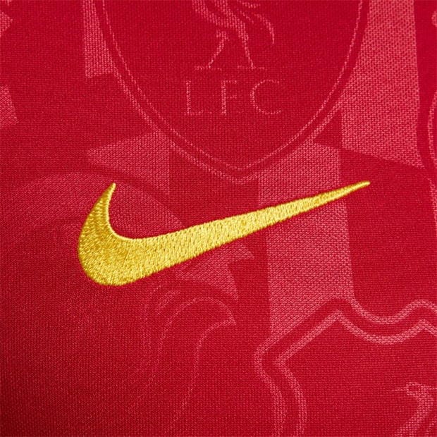 Nike Liverpool Academy Pro Pre Match Shirt 2024 2025 Adults