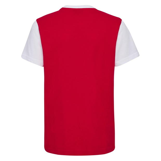 Hummel Denmark Fan Block T-Shirt Junior