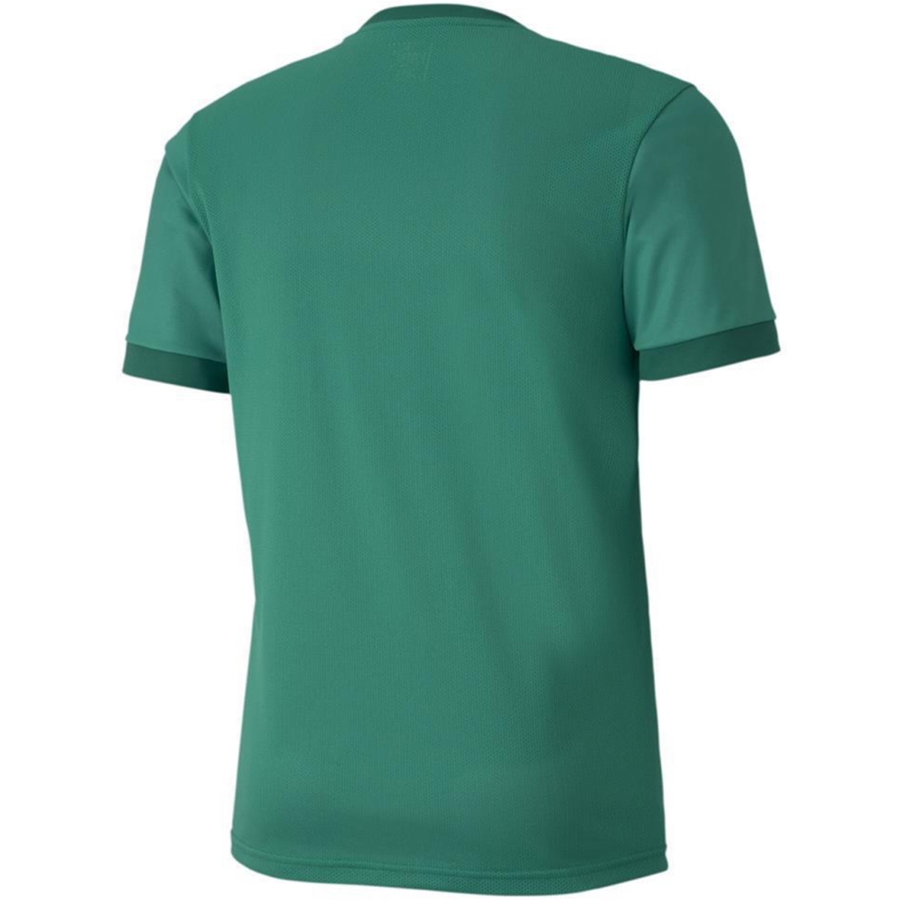 Men's T-shirt Puma teamGOAL 23 Jersey green 704171 05